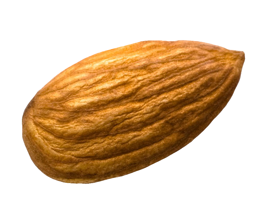 Single Almond Png