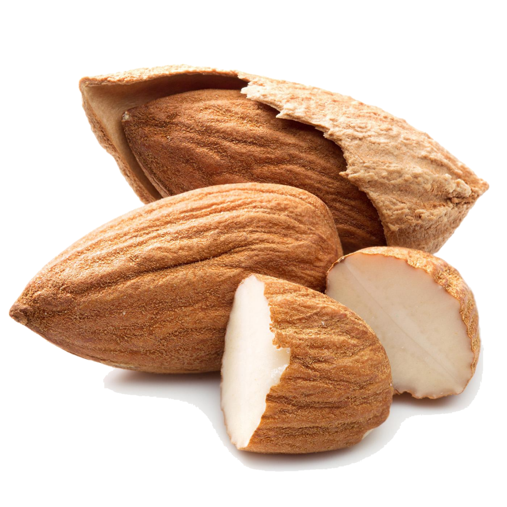 Almond Dry Fruit Png