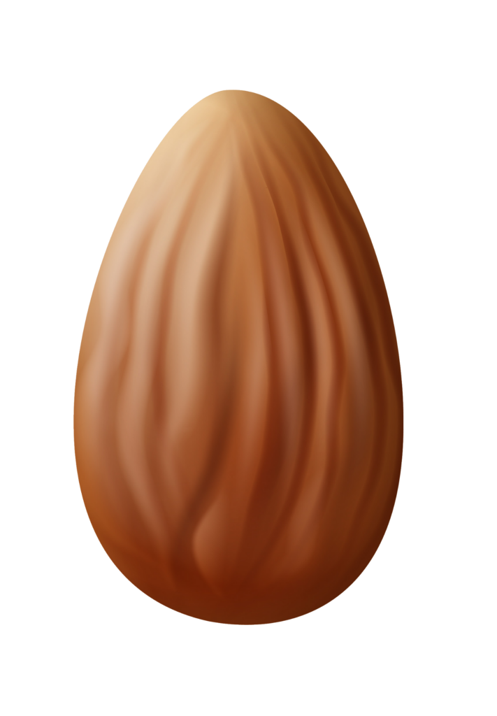 Animated Almond Png