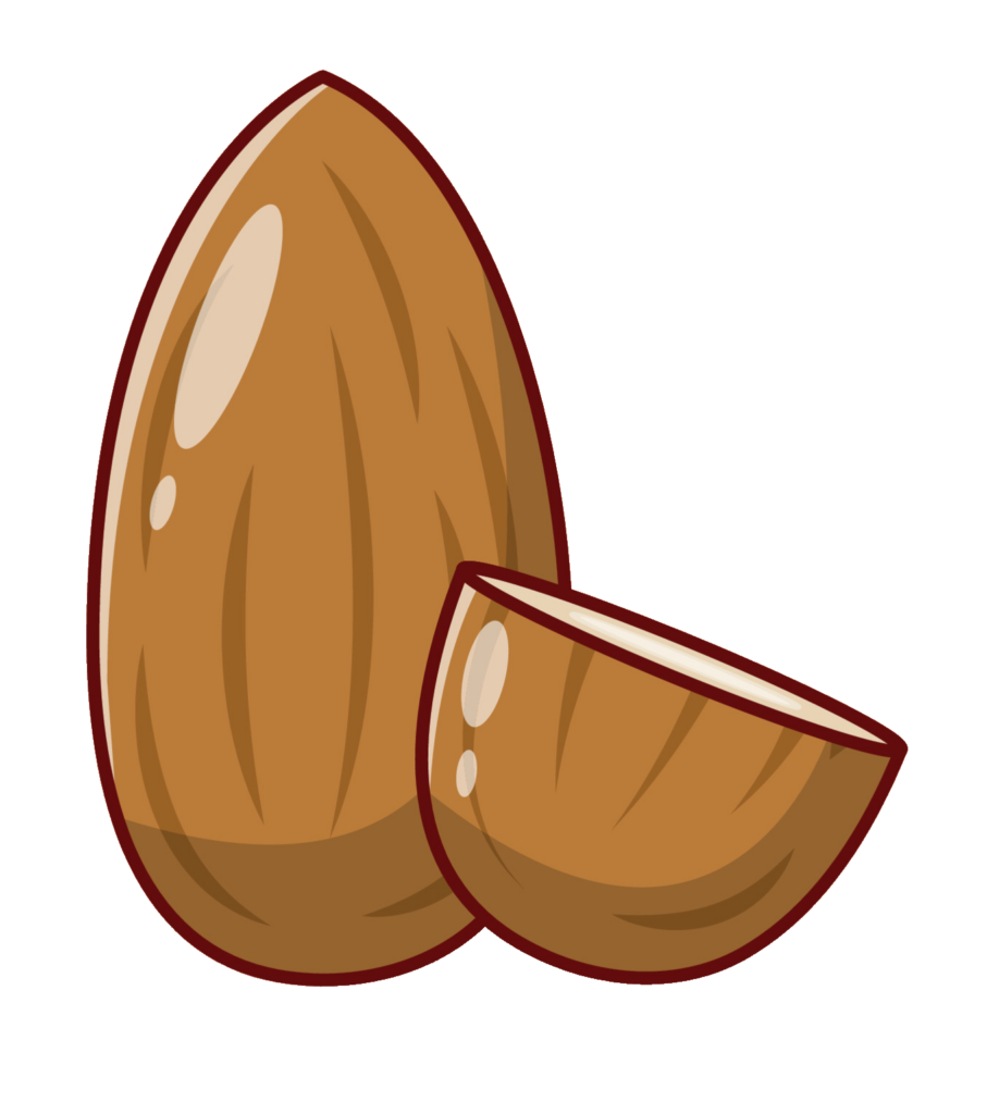 Almond Vector icon Png