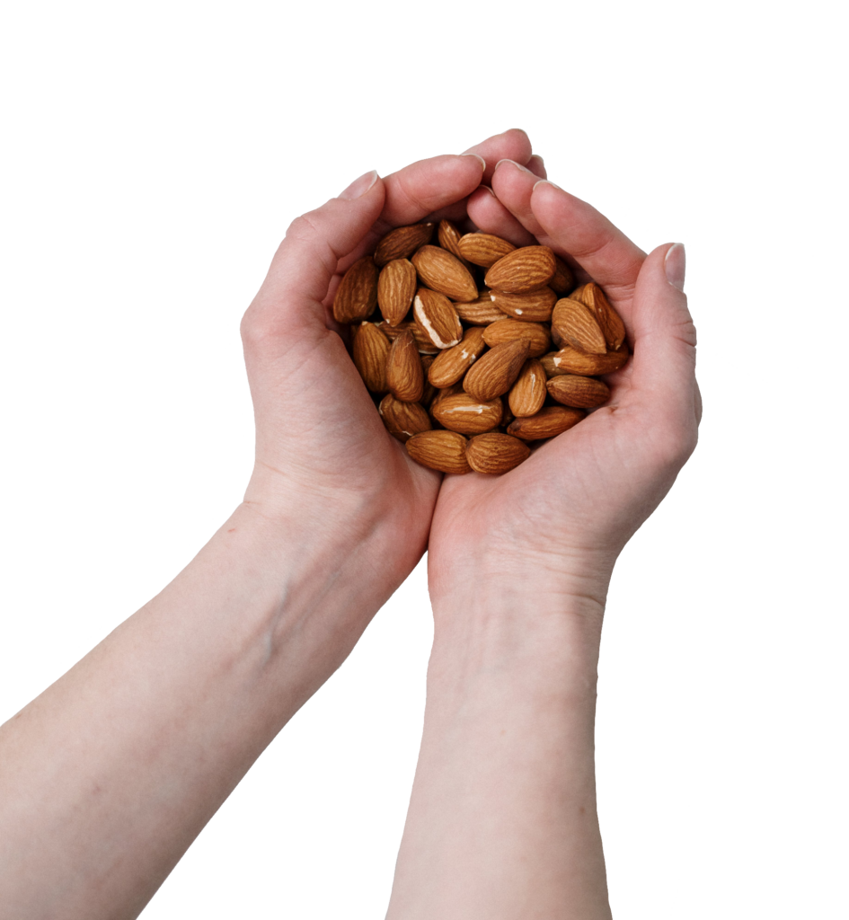 Almonds in Hand Png