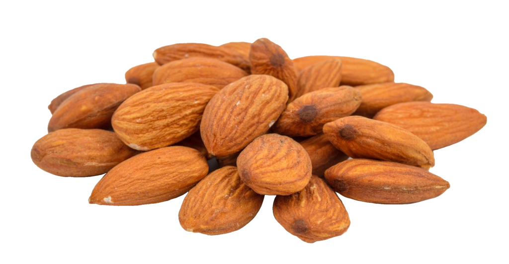 Group of Almond Png