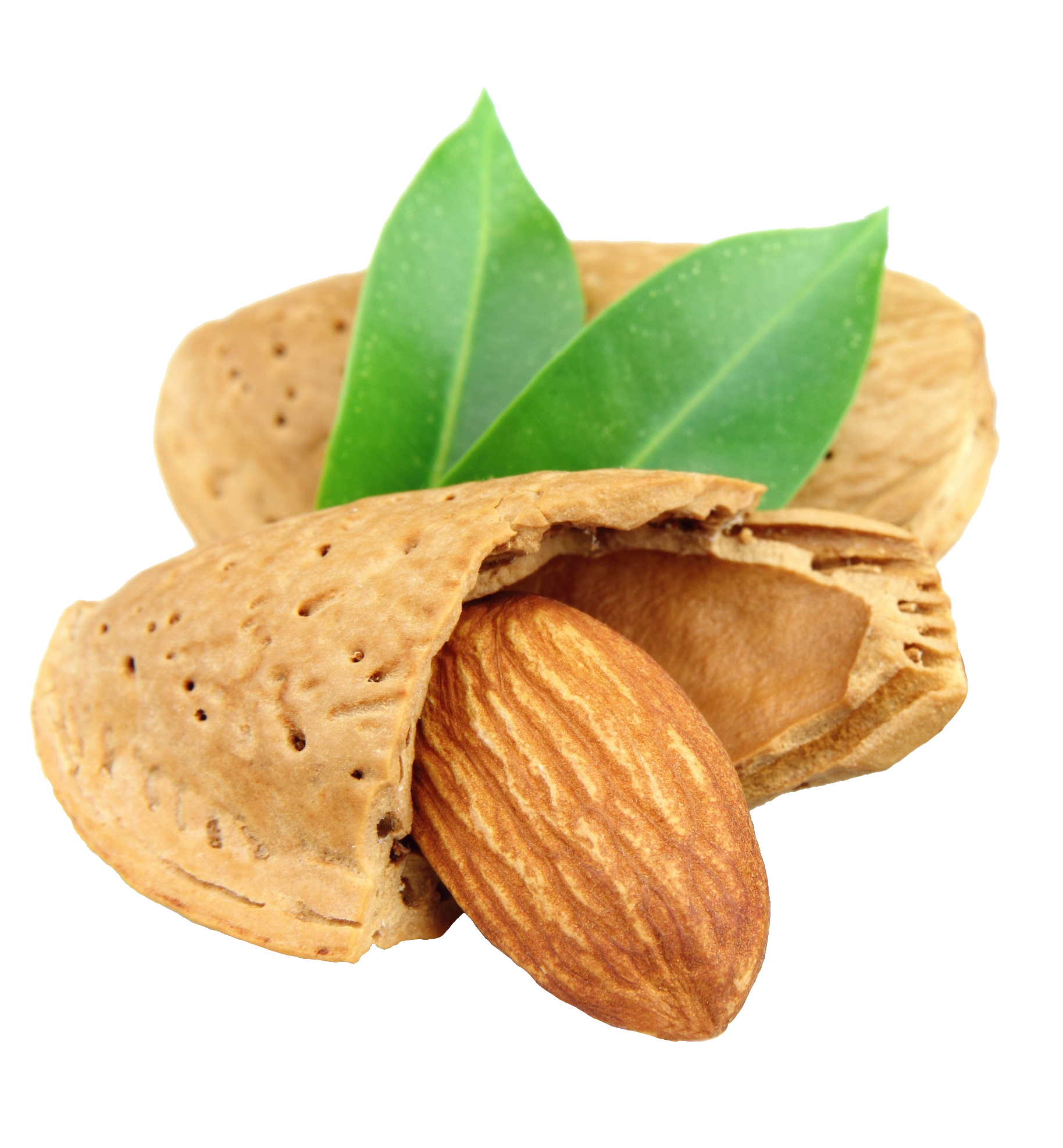 almond-7