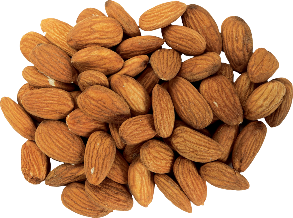 Almonds Png