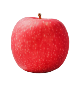 Red Apple Fruit Png