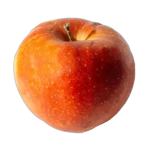 Apple Fruit Png Image