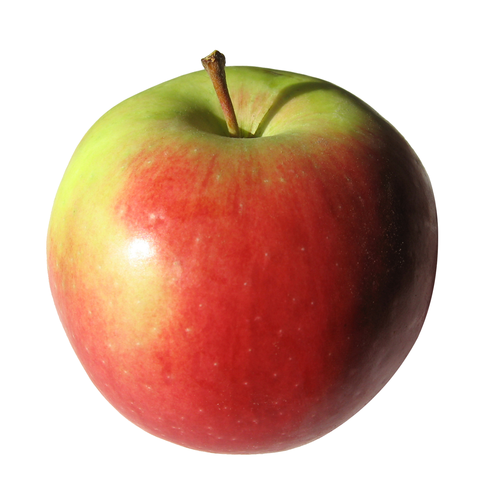 apple-80