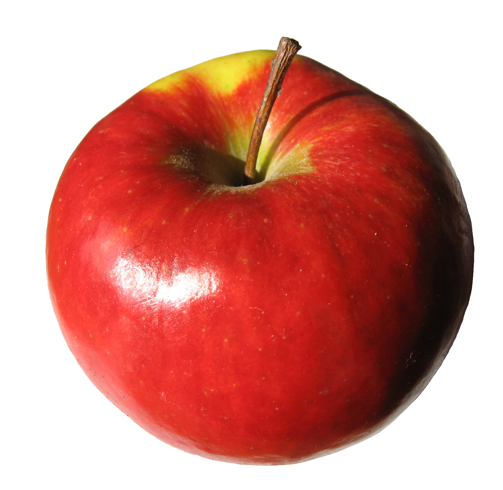 apple-81