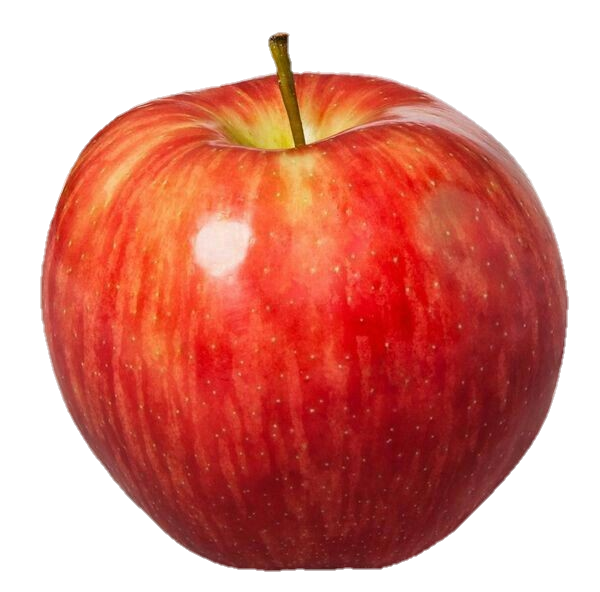 apple-png-from-pngfre-15