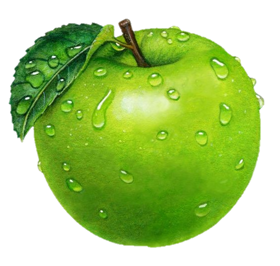 apple-png-from-pngfre-19