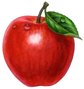 Apple Png Clipart