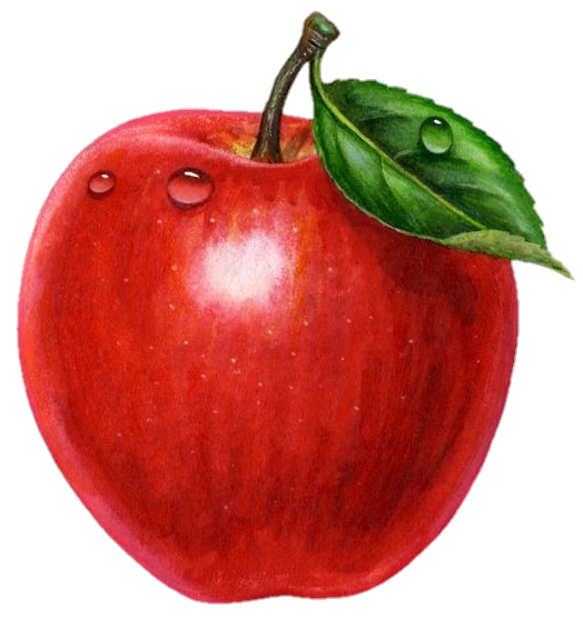 apple-png-from-pngfre-23