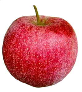 Transparent Apple Png Fruit 