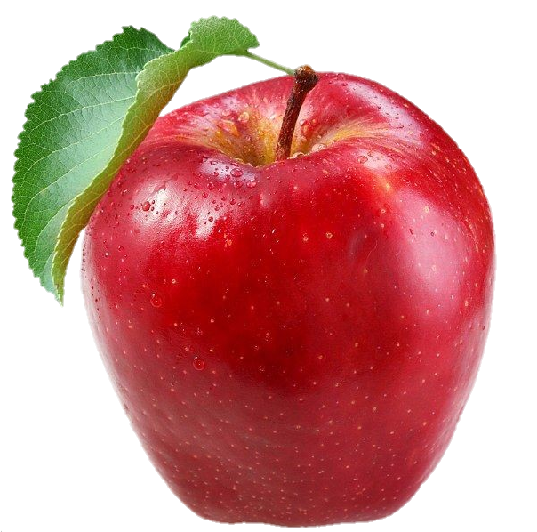apple-png-from-pngfre-3