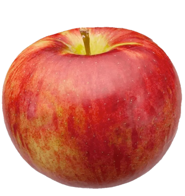 apple-png-from-pngfre-35