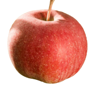 Apple Fruit Png with transparent background 