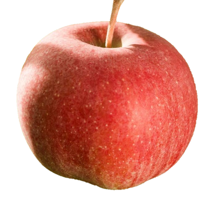 apple-png-from-pngfre-5