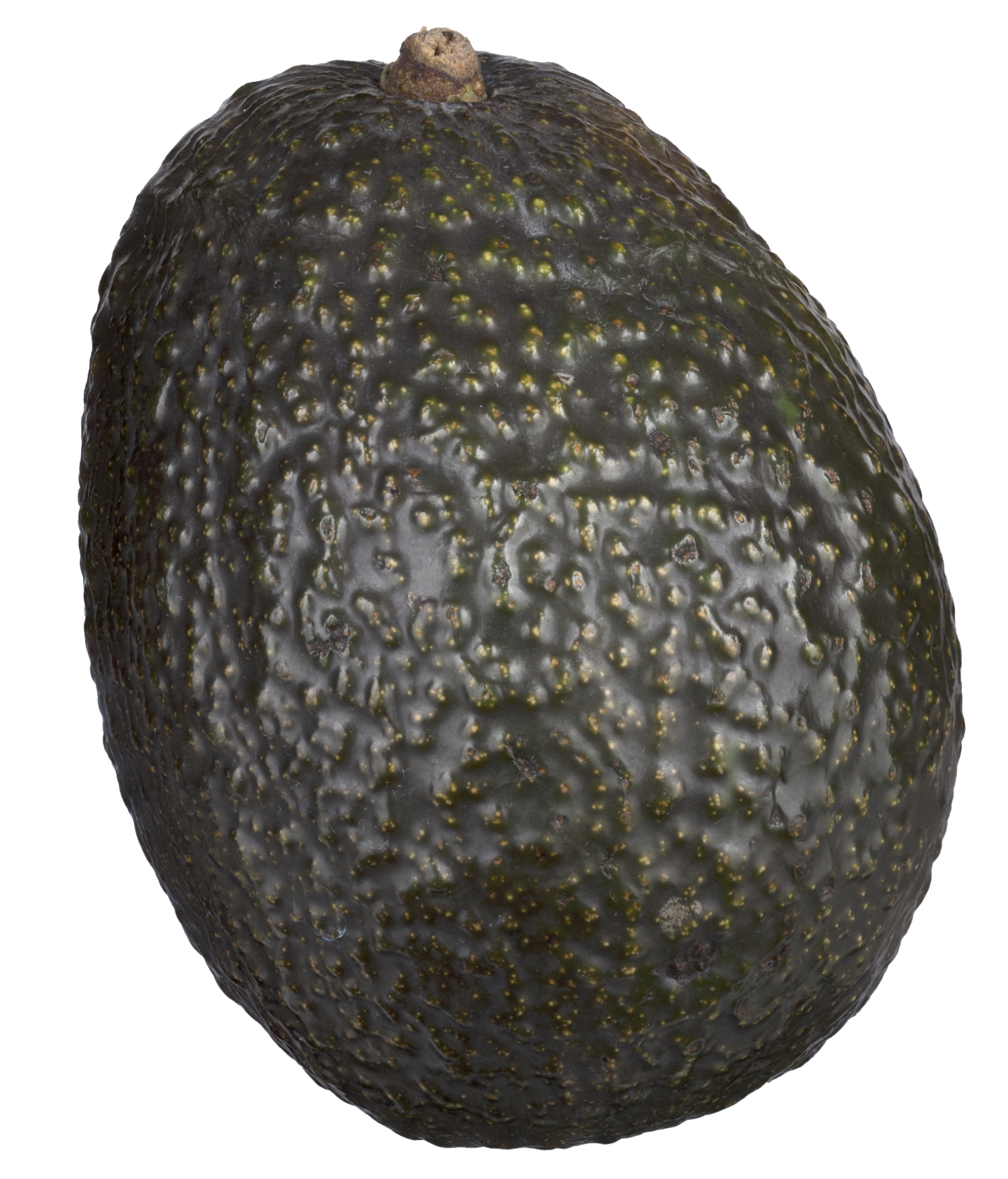 avocado-35-1