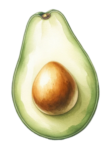 Half Avocado Art PNG