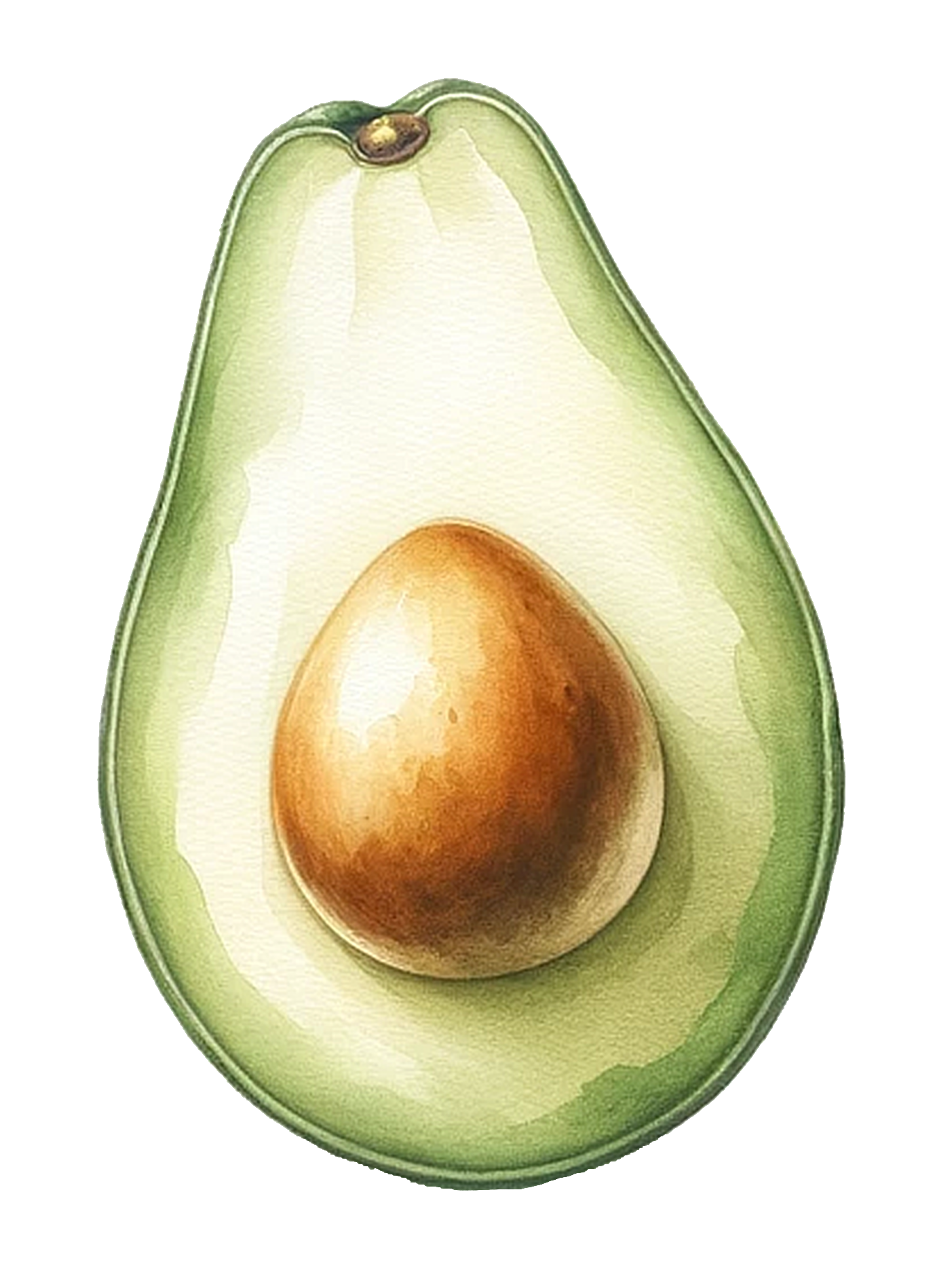 avocado-37