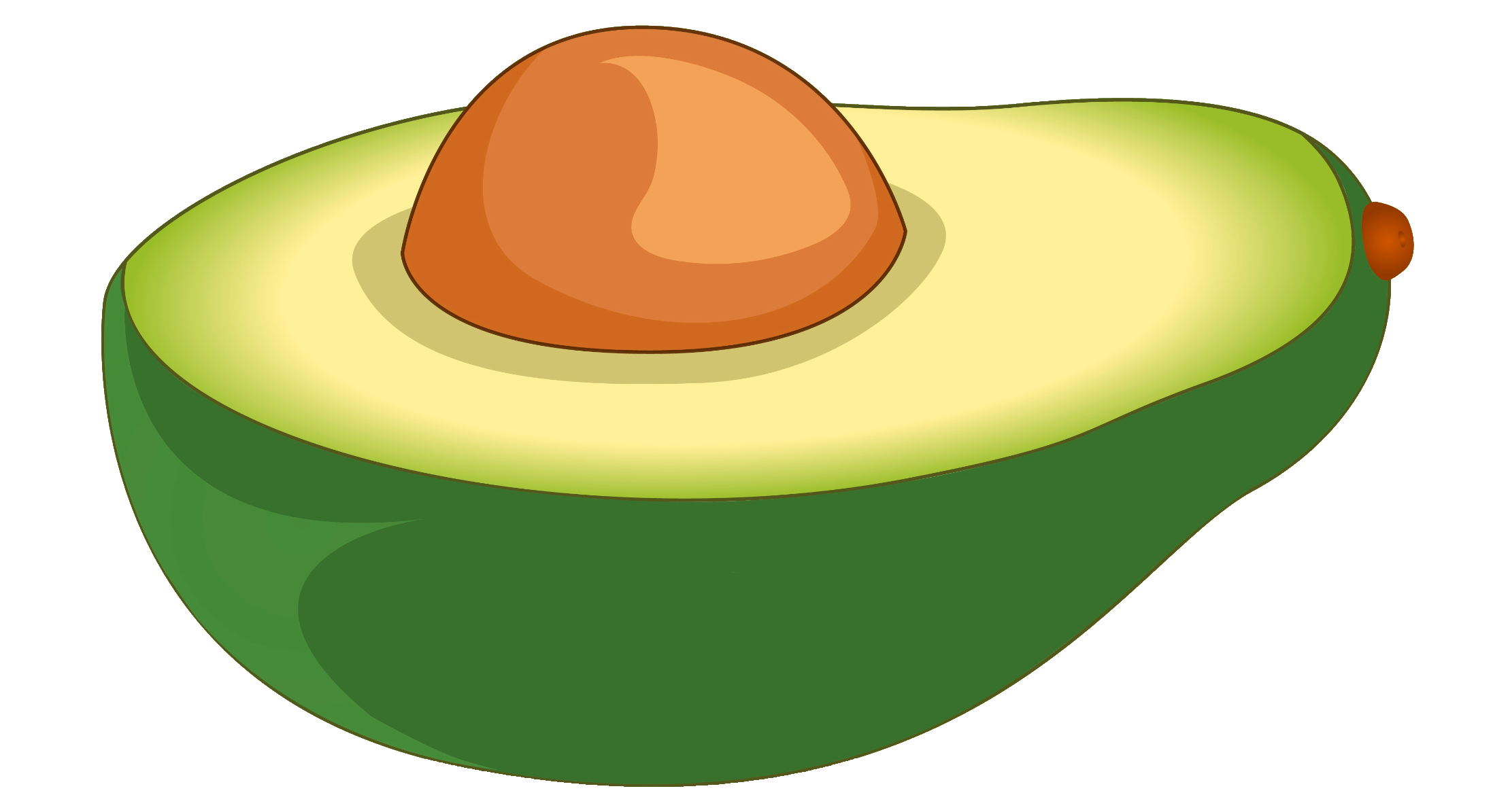 avocado-44