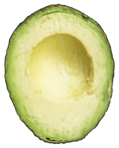 Half Avocado PNG Image