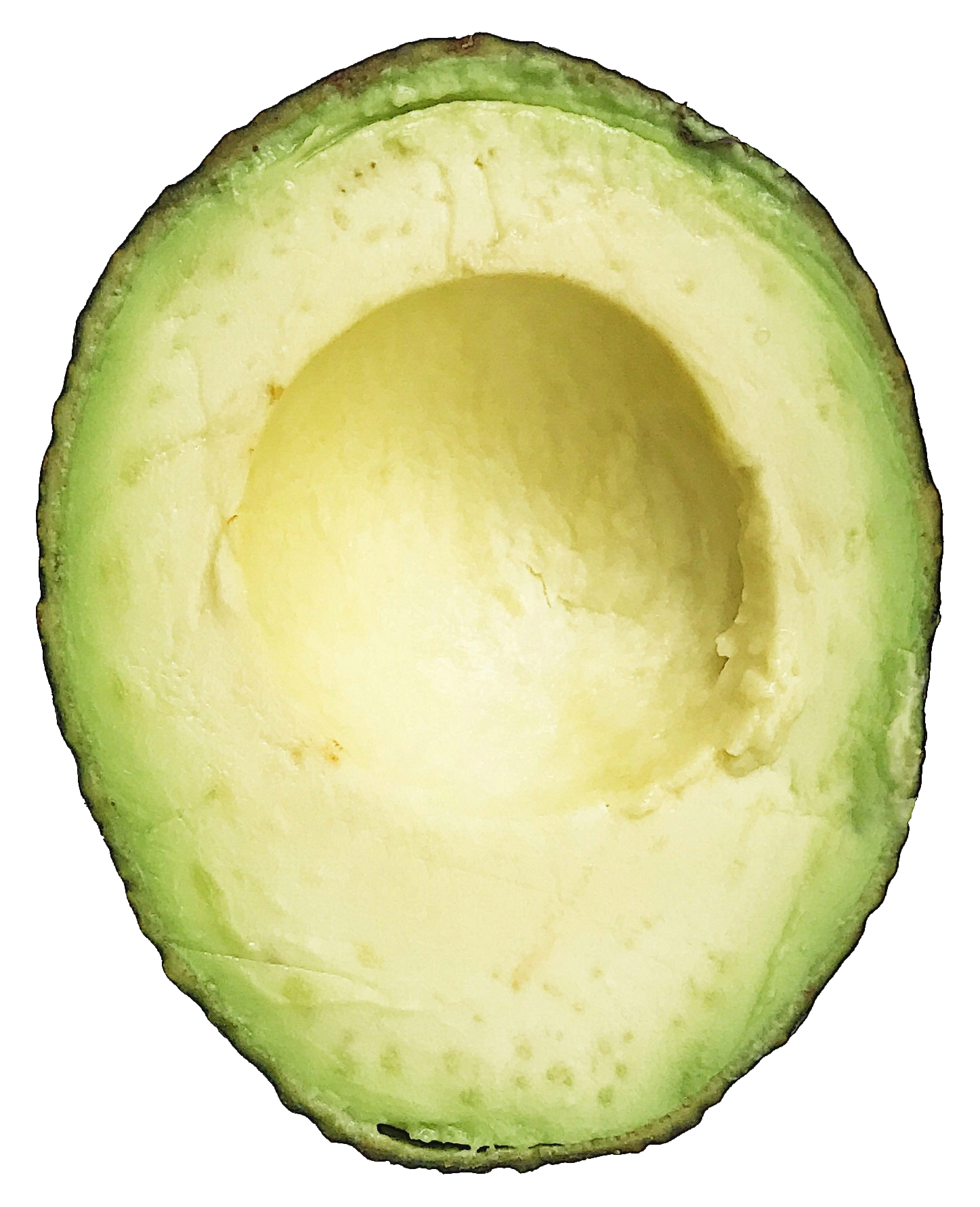 avocado-51