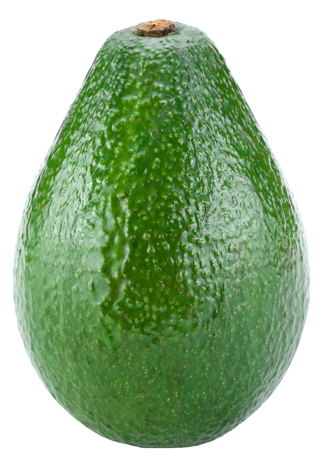 avocado-57
