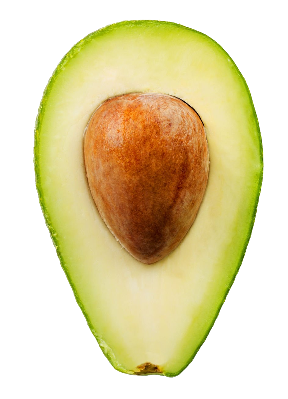 avocado-58