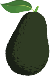 Green Avocado Vector PNG