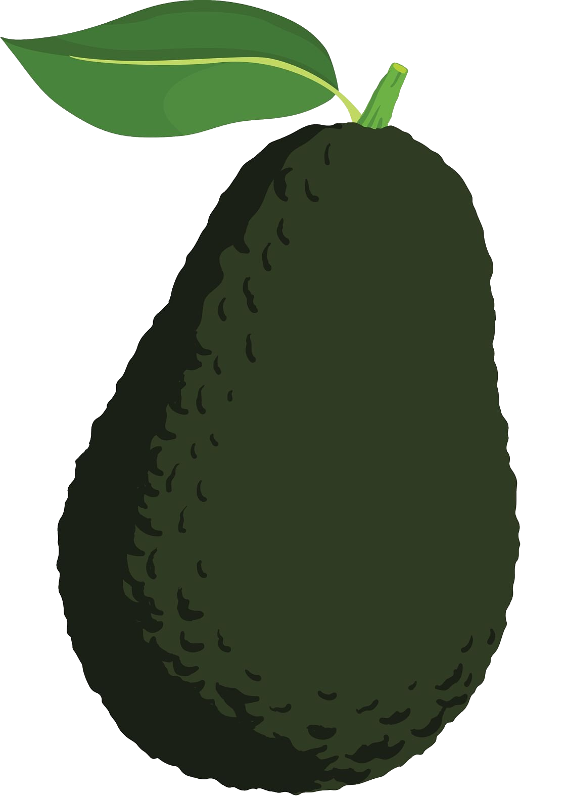 avocado-62