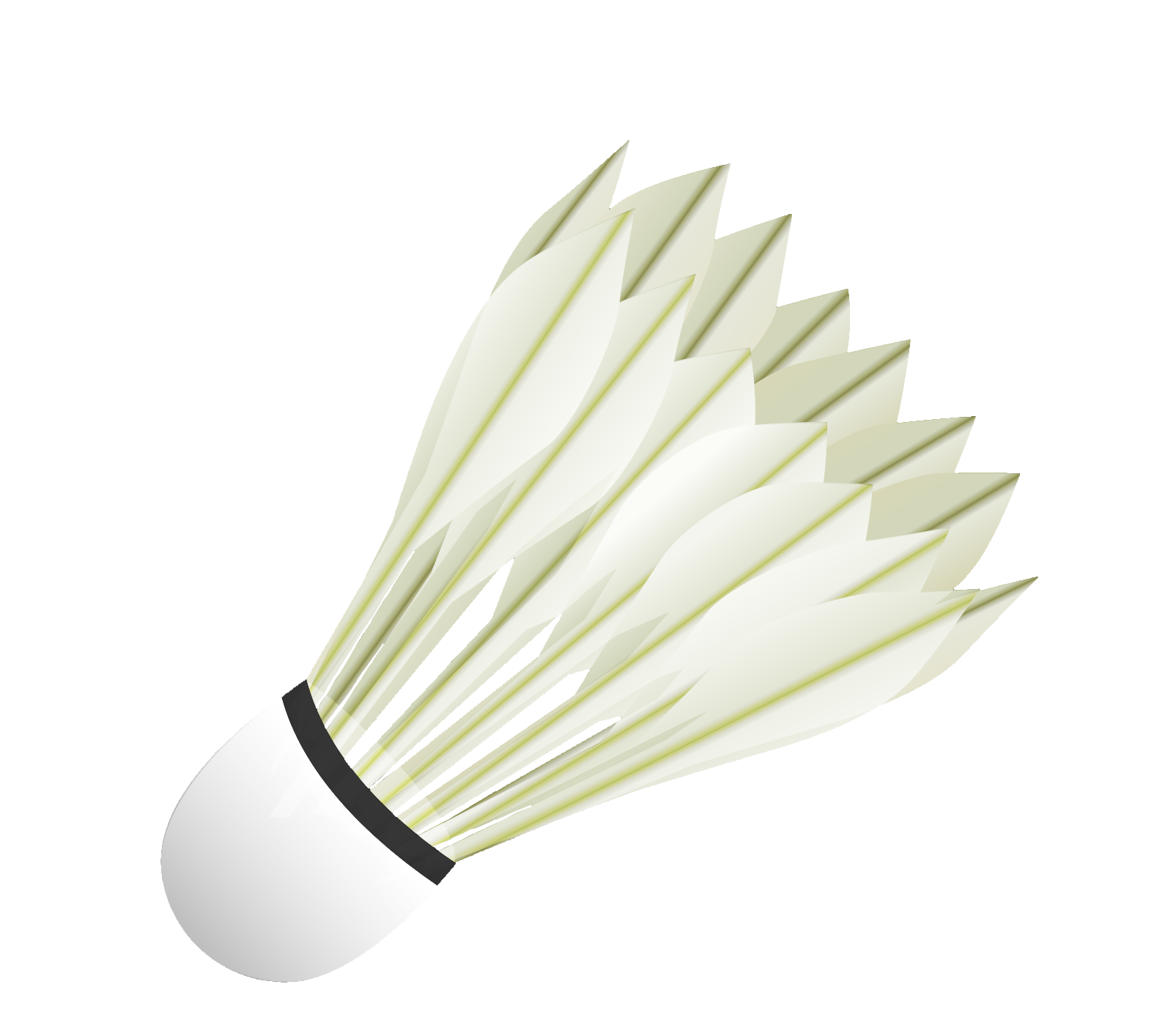badminton-birdie-21