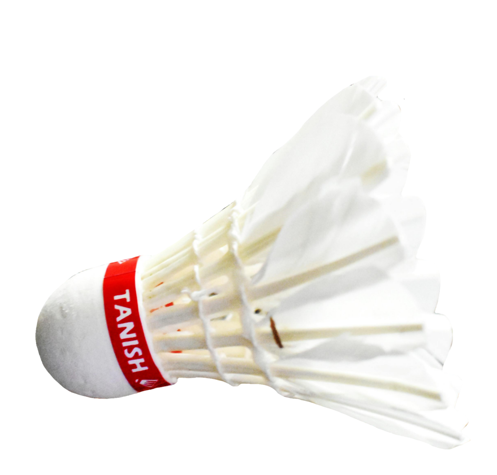 Shuttlecock PNG Image
