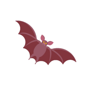 Bat vector PNG