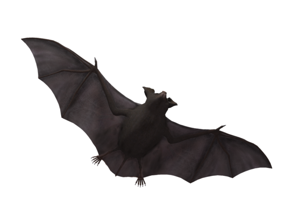 Bat PNG Transparent Images Free Download - Pngfre