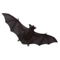 Bat Png Image