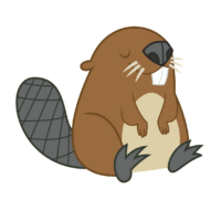 Beaver Png Image
