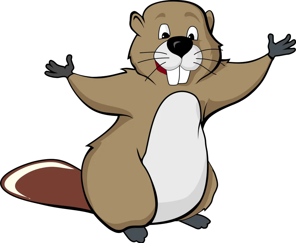 Beaver Clipart Png