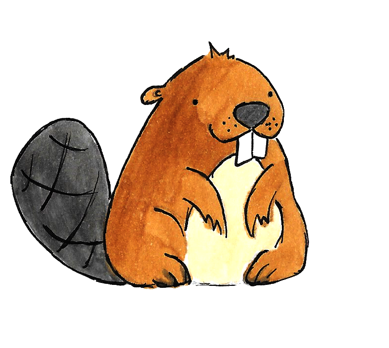 Cute Beaver Drawing Png