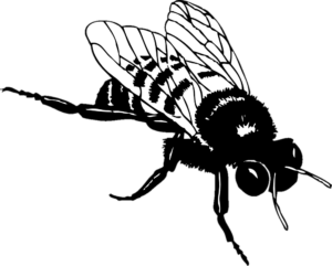 Silhouette Bee PNG