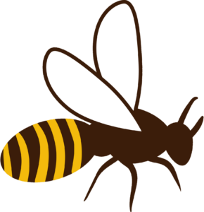Bee PNG Vector