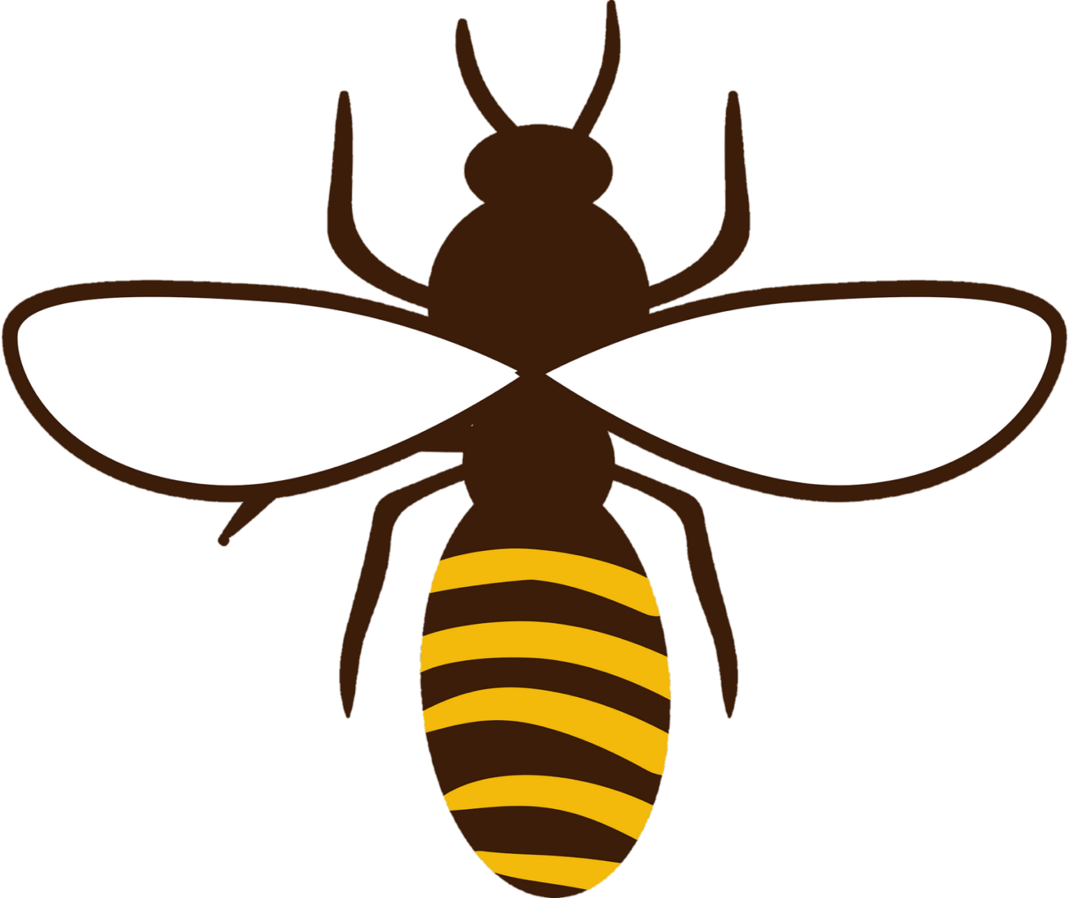 Bee Png Transparent Images Free Download - Pngfre