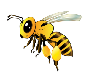 Bee clipart Png