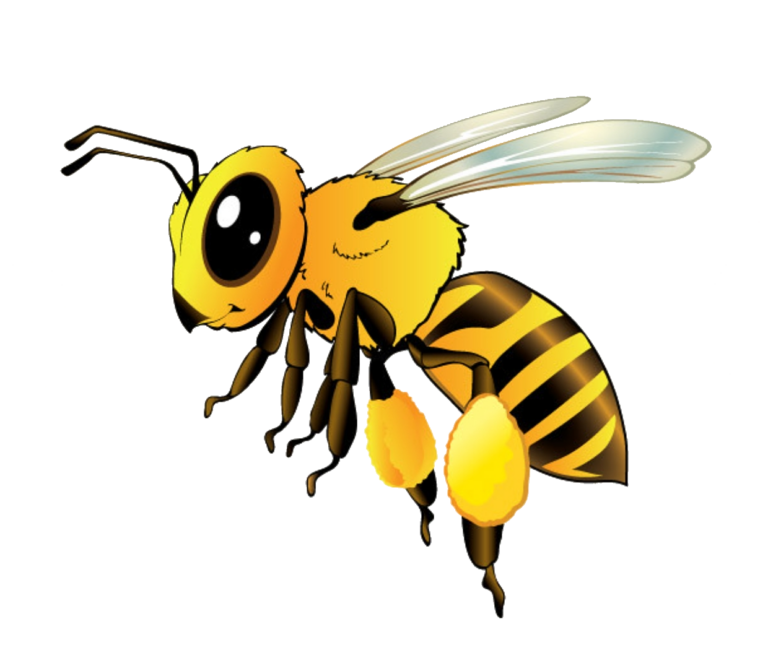 Bee PNG Transparent Images Free Download - Pngfre