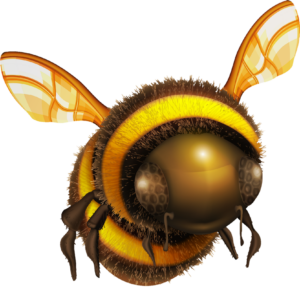 Honey Bee PNG
