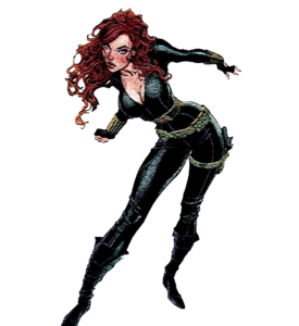 Black Widow clipart PNG