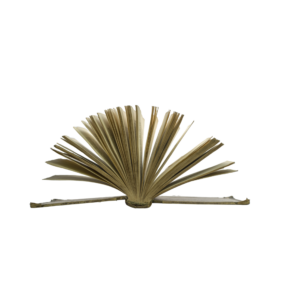 Open Pages Book PNG