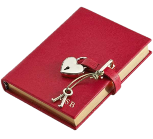 Transparent Red Book PNG