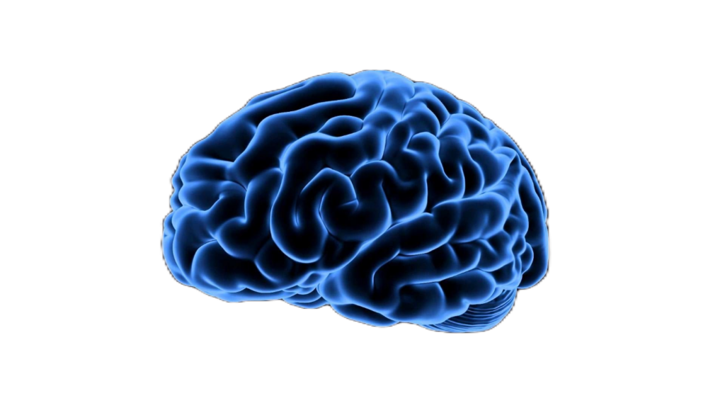 Blue Brain PNG
