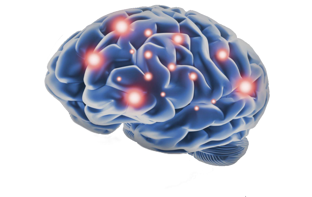 Animated Brain PNG